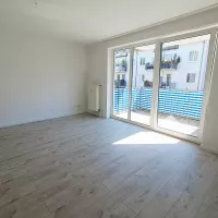 muster beispiel wohnung 
